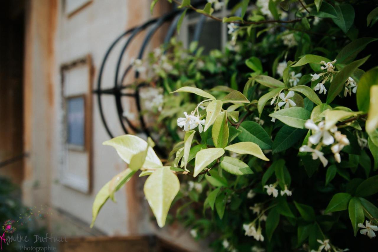 Hotel Particulier Des Jasmins Le Bar-sur-Loup Exterior foto